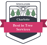 Axtraction_Best-Tree-Services-in-Charlotte-North-Carolina-Badge