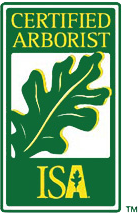 Axtraction_ISA_Certified_Arborist