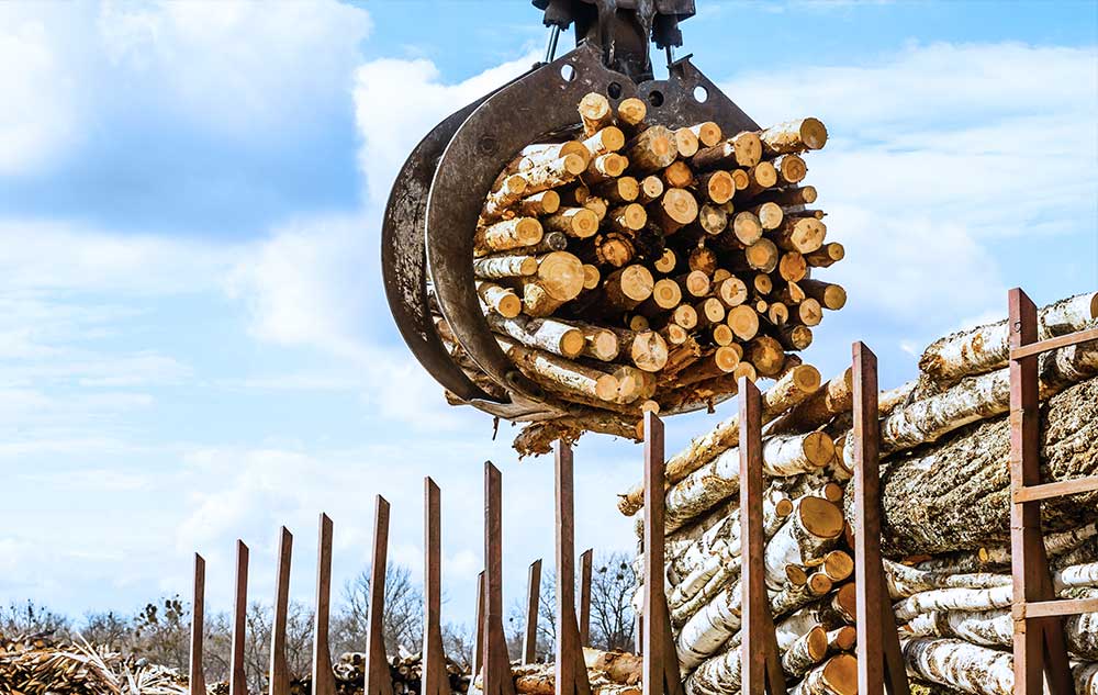 Tree Grapple Service and Tree Debris Removal